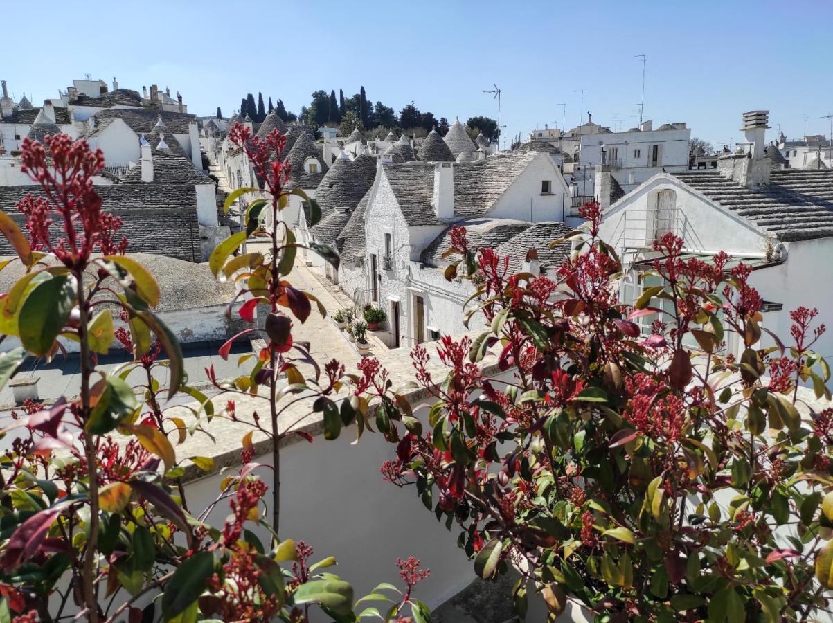דירות אלברובלו Nou La Tua Casa In Puglia מראה חיצוני תמונה